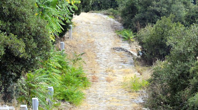 A vast system of Roman roads greatly facilitated the spread of the Gospel.